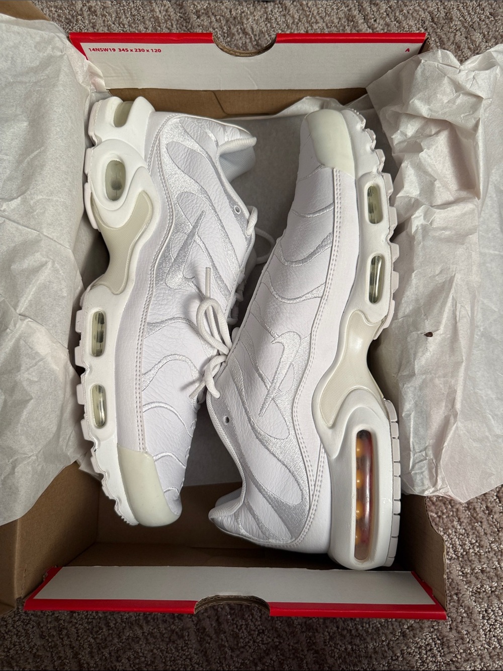 Nike Max Plus